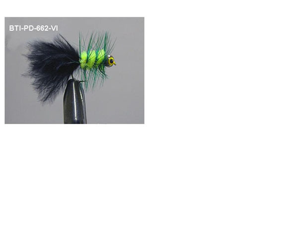 Nobblers(6)