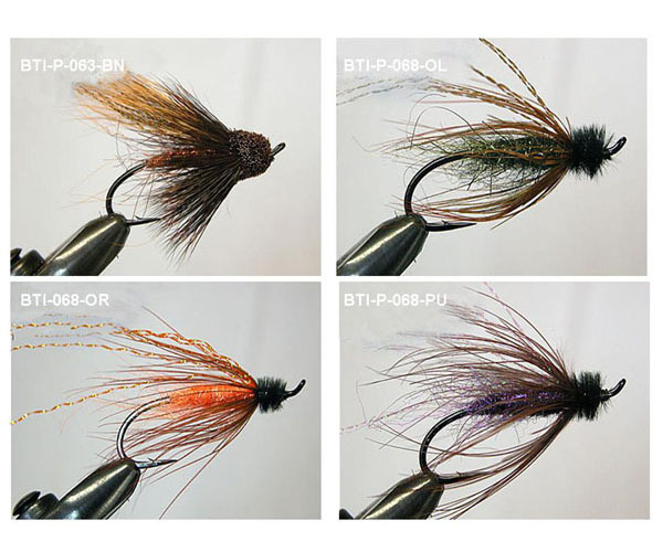 Salmons single(2)