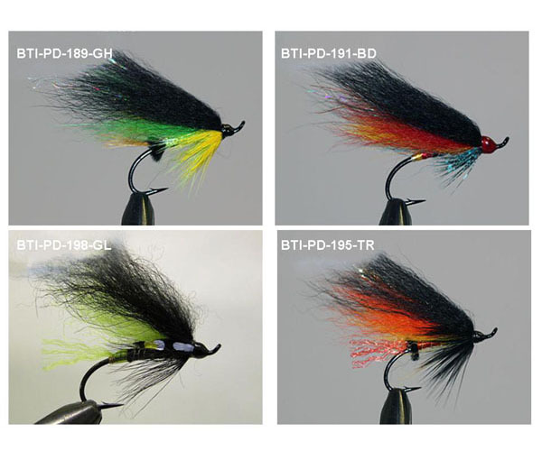 Salmons single(7)