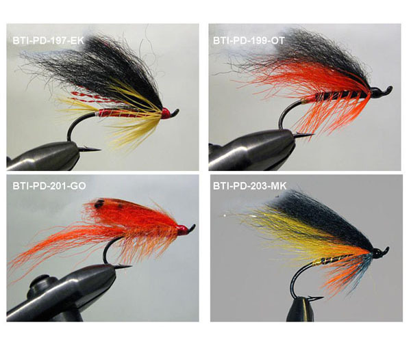 Salmons single(8)