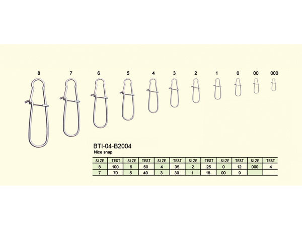 BTI-04-B2004 Nice snap