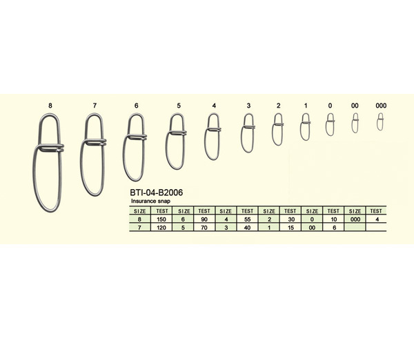 BTI-04-B2006 Insurance snap