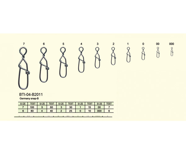 BTI-04-B2011 Germany snap-B