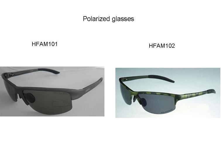 BTI-14D-HFAM101 & BTI-14D-HFAM102 Polarized glasses
