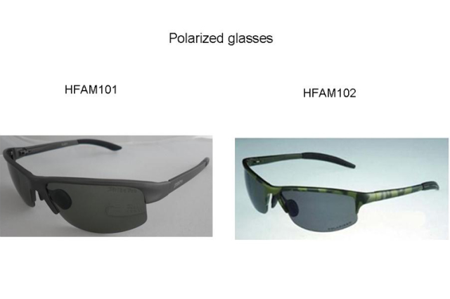 BTI-14D-HFAM101 & BTI-14D-HFAM102 Polarized glasses