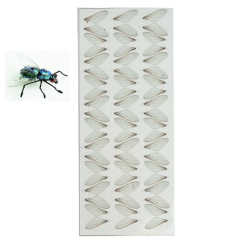 BTI-09D-5004 Bottle Flies Wings