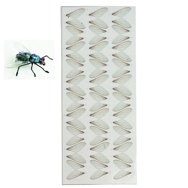 BTI-09D-5004 Bottle Flies Wings