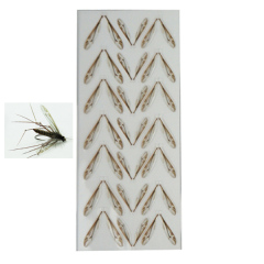BTI-09D-5005 Crane Flies Wings