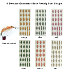 BTI-09D-5003 Gammarus Back