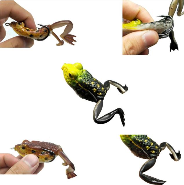 Frog 12