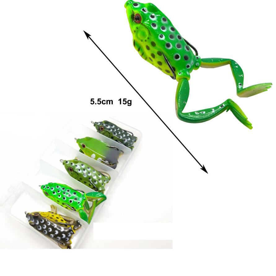 Frog 13