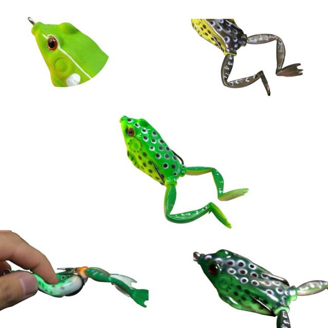 Frog 13