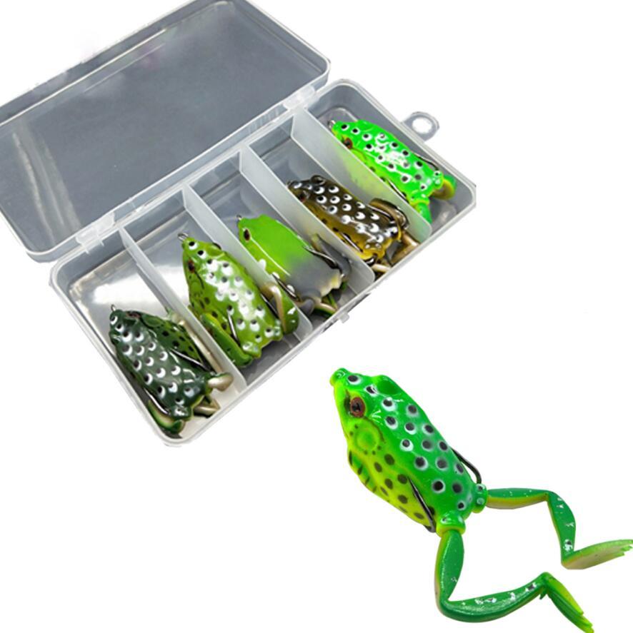 Frog 13