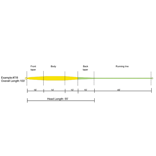 Switch Fly Line