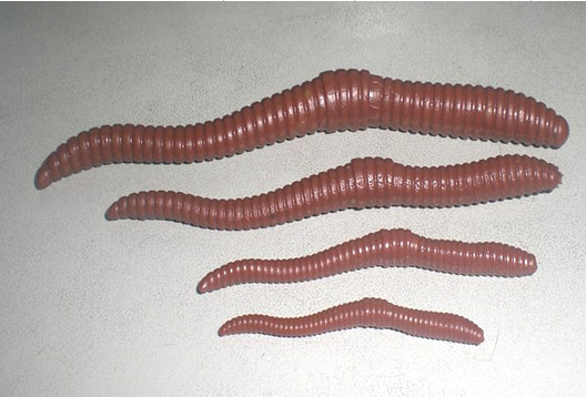 Fake Earthworm baits -QL