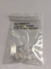 BTI-08A-8001: Ghost Fish Head