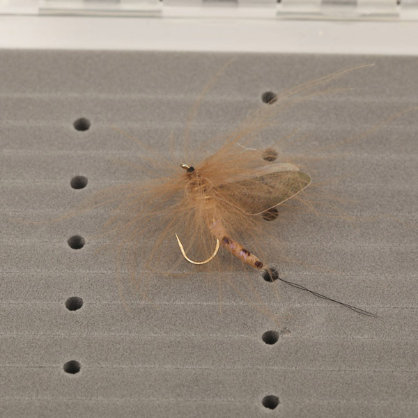 Riverruns Realistic Flies Mayfly Dry Flies UV Flies Part Combo With A Fly Box