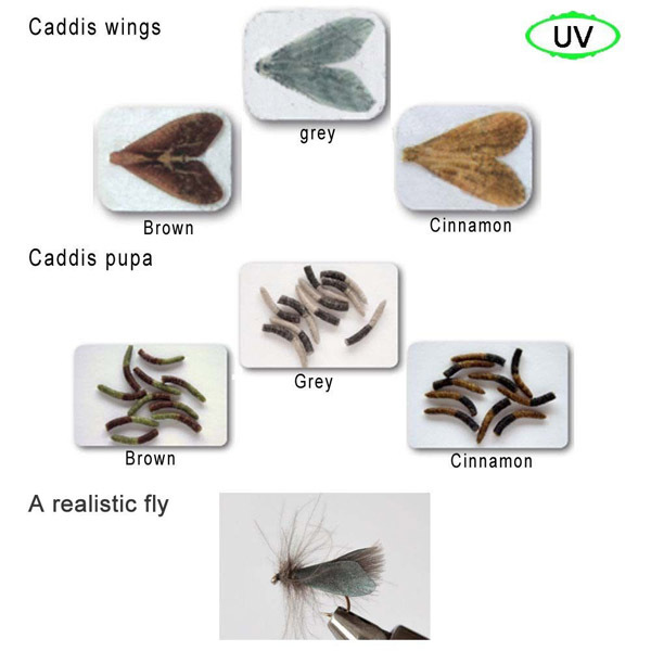 Riverruns Realistic Flies Caddis Dry Flies UV Flies Part Combo With A Fly Box