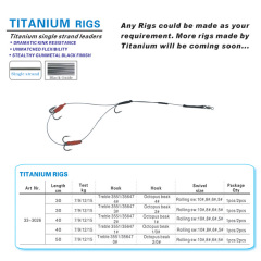 BTI-33-3026 Titanium rigs