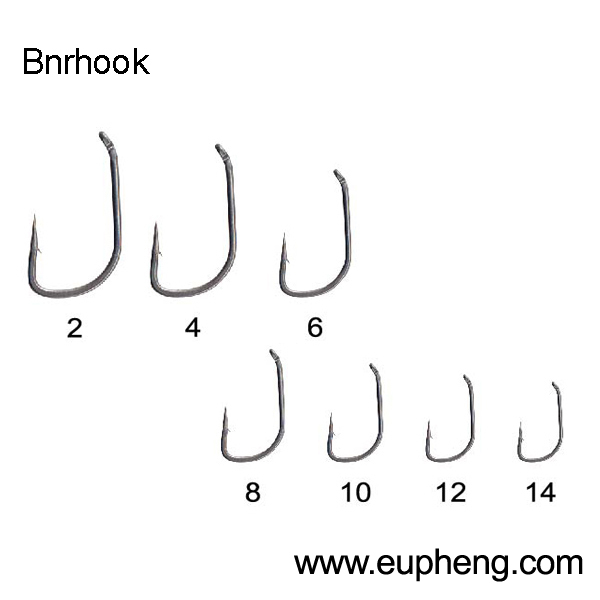 Bnrhook
