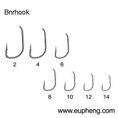 Bnrhook