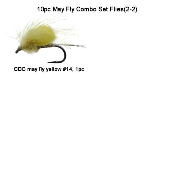 CDC May fly flies
