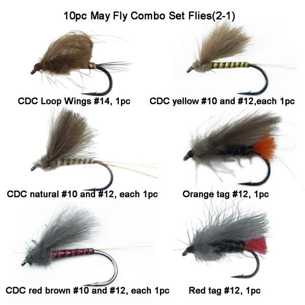 CDC May fly flies