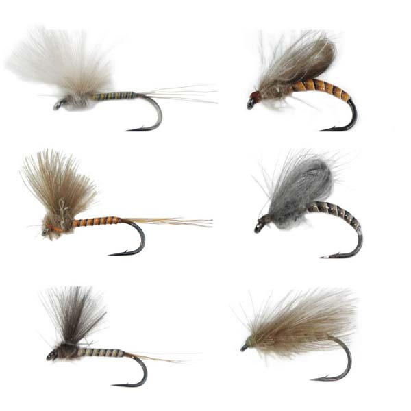 Best may fly dry flies