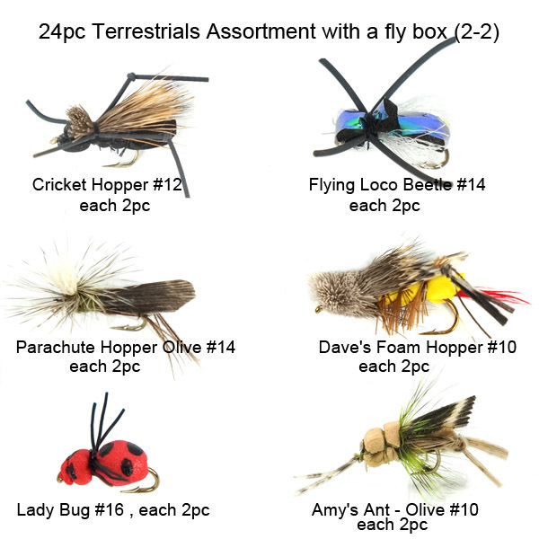 24pc Terrestrials assortment with a fly box