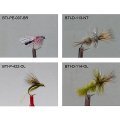 Dry Flies 2021(10)