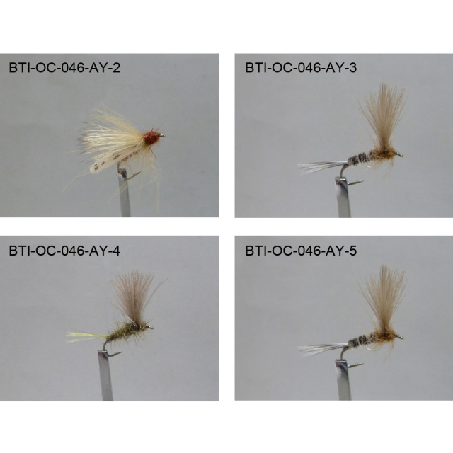 Dry Flies 2021(57)