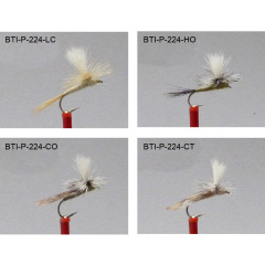 Dry Flies 2021(61)