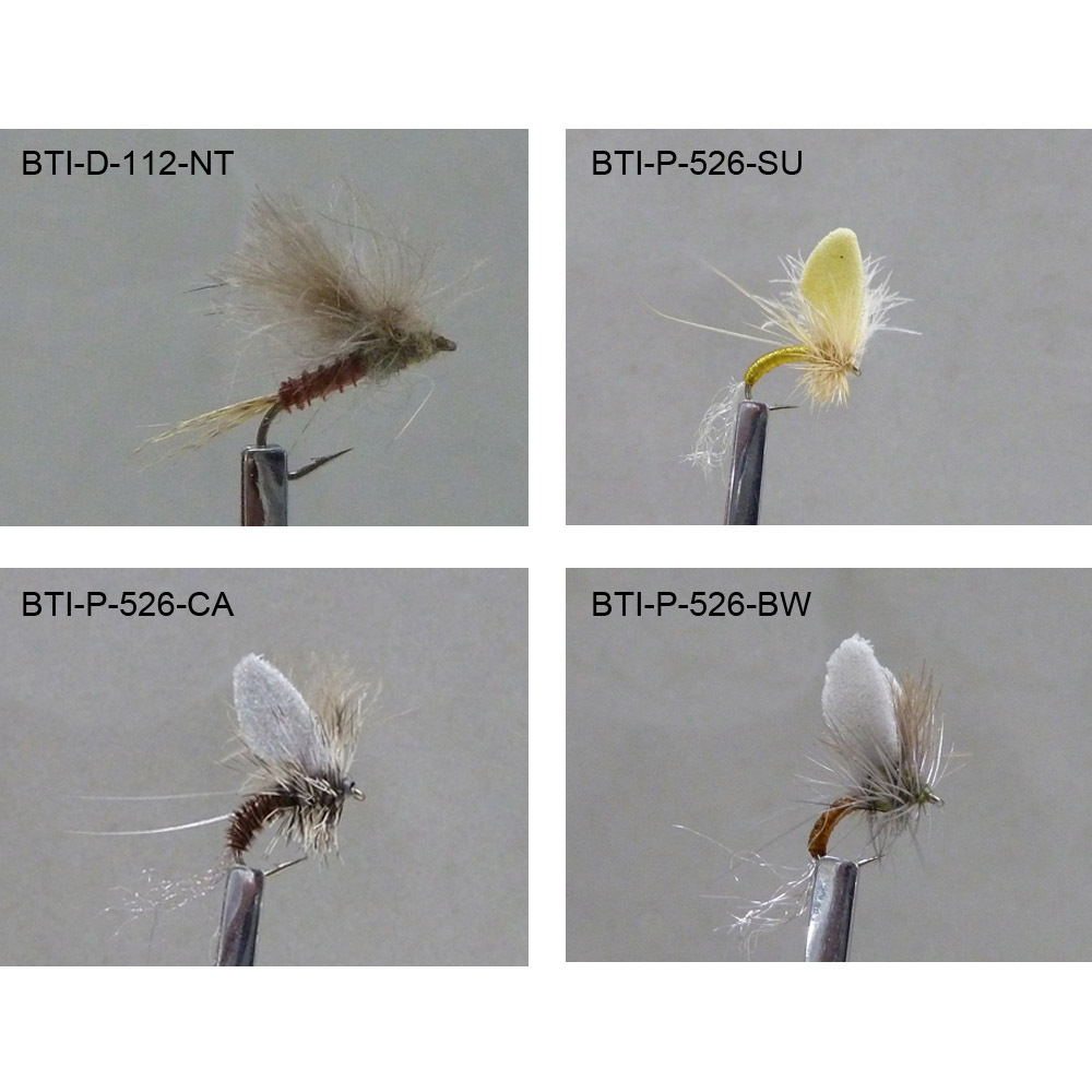 Dry Flies 2021(65)