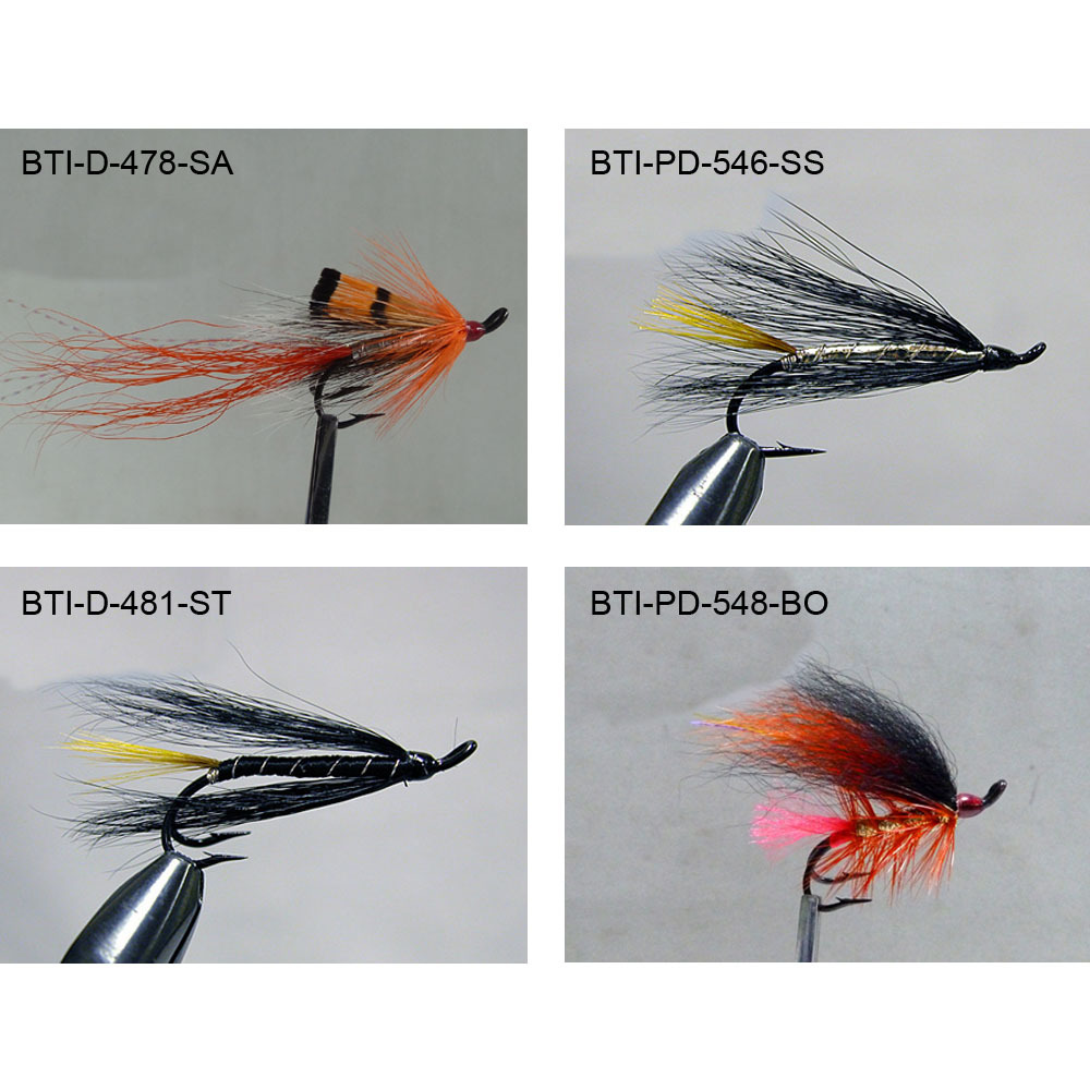 Salmons double 2021(3)