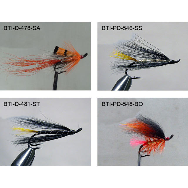 Salmons double 2021(3)