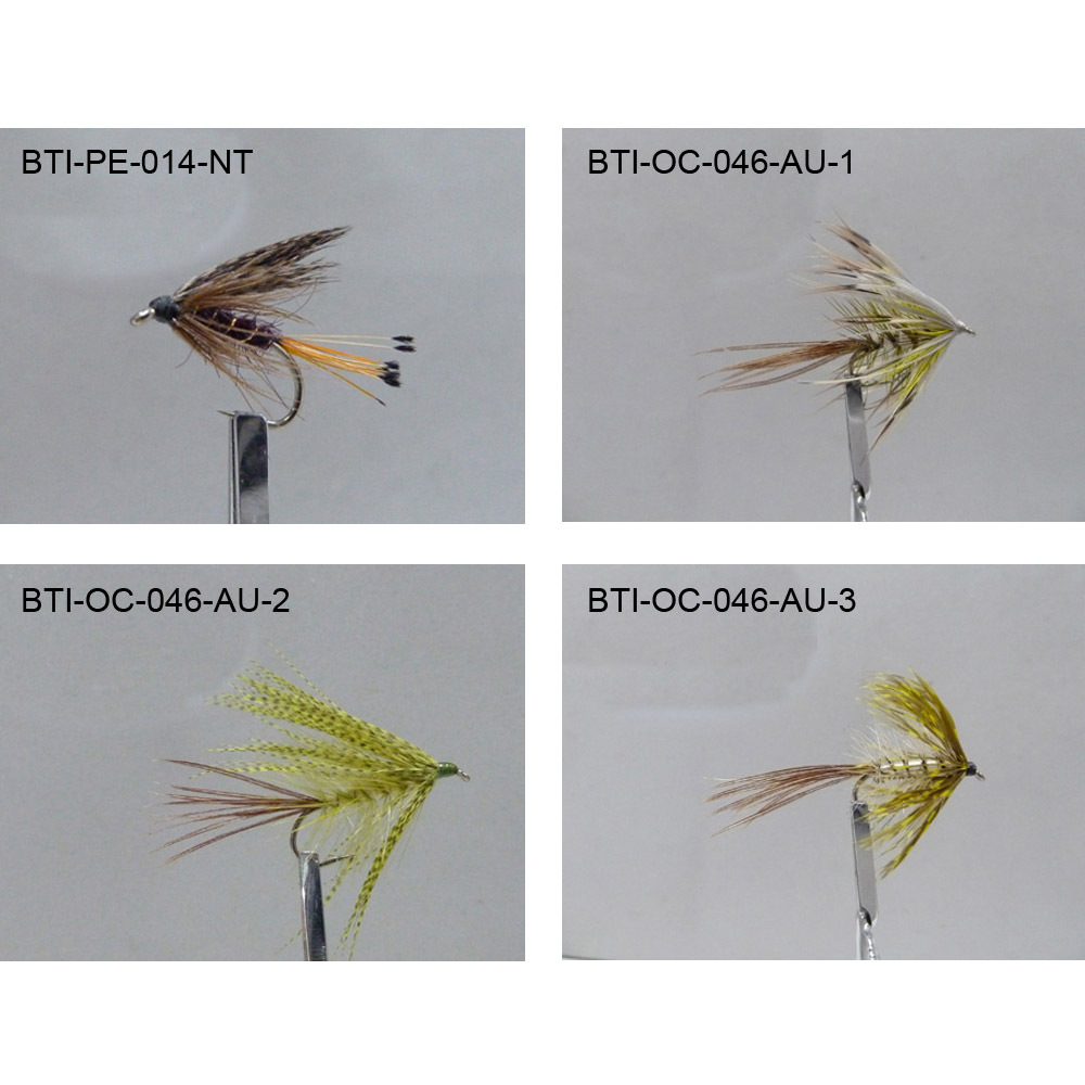 Wet flies 2021(9)