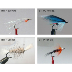 Salmons single 2021(2)