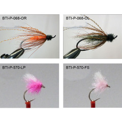 Salmons single 2021(4)