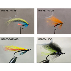 Salmons single 2021(6)