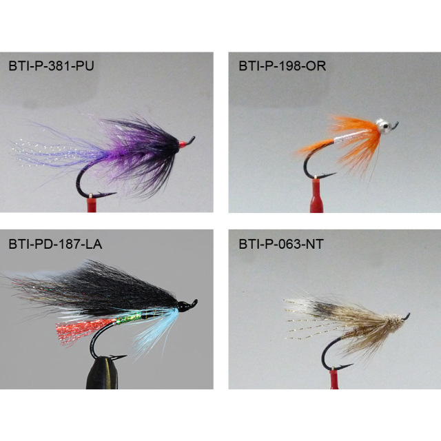 Salmons single 2021(7)