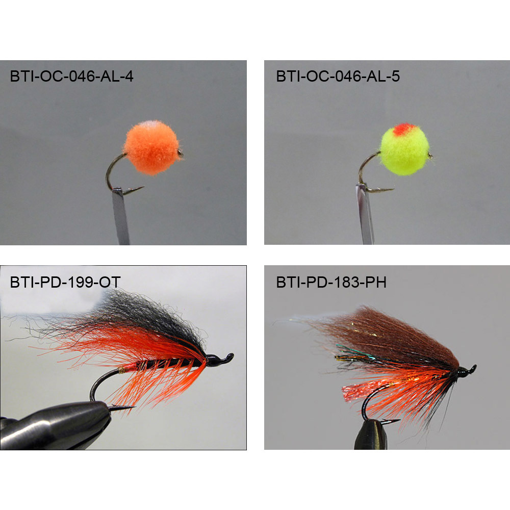 Salmons single 2021(11)
