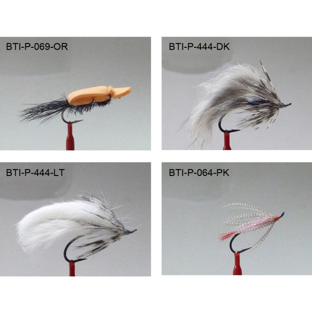 Salmons single 2021(16)