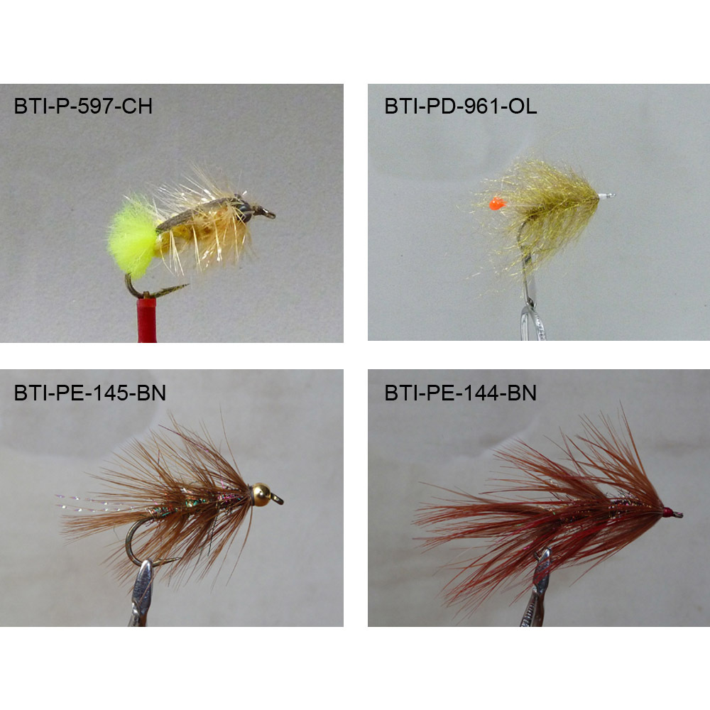 Sea trout 2021(1)
