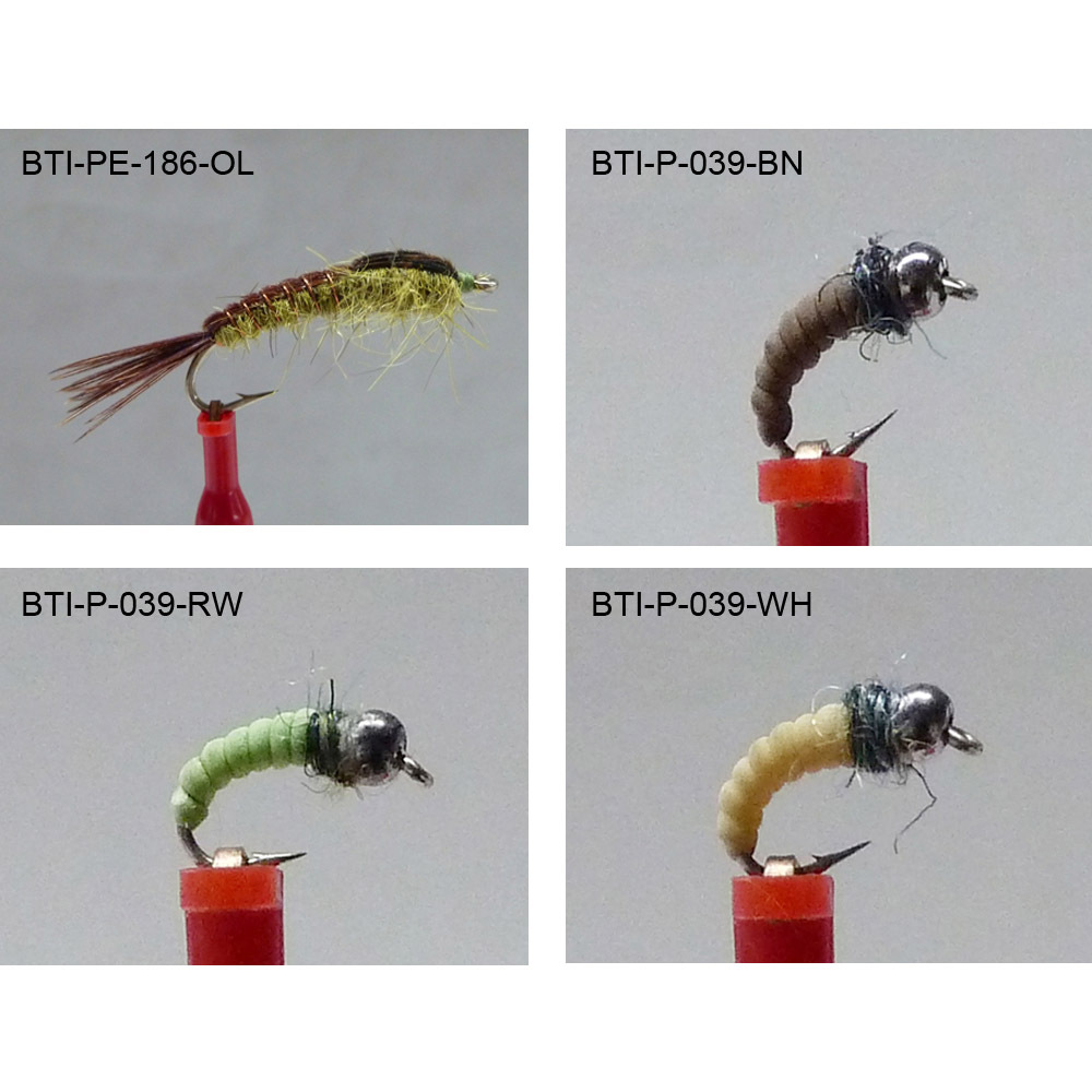 Nymph 2021(15)