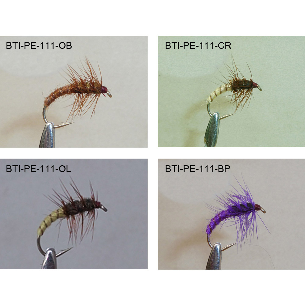 Nymph 2021(31)