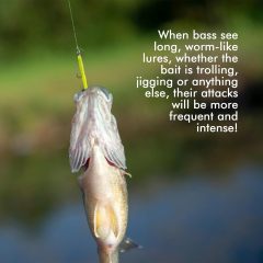 BTI-05D-RC075 Weedless Pre-Rigged Bass Fishing Lures