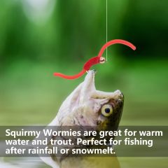 BTI-09D-1023 Soft Worm Body Squirmy Wormy