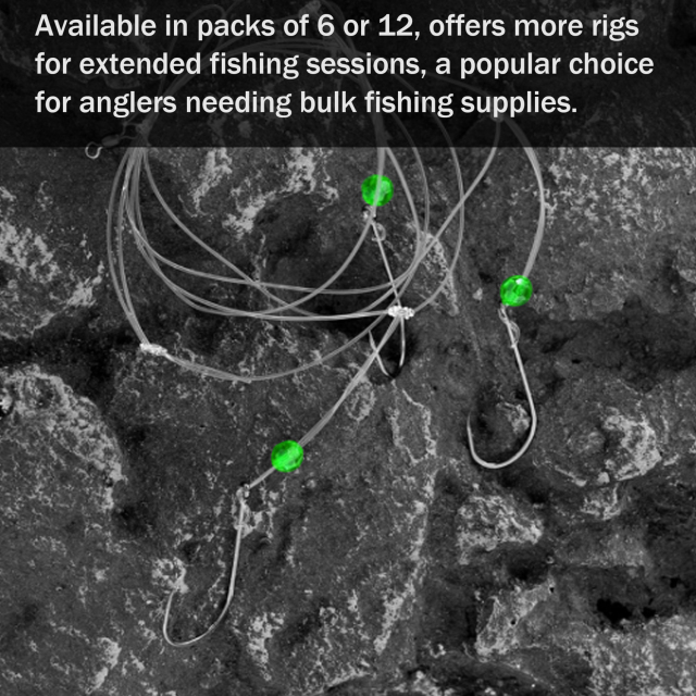 BTI-05B-065 Saltwater Fishing Rigs