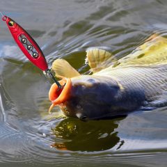 BTI-05E-001 Fishing Rattle Spoon