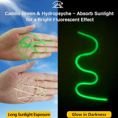 BTI-09D-9100 Nymph Skin